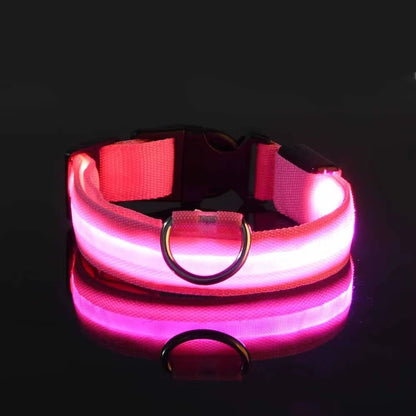 🌟 LED Luminous Dog Collar – Glow in the Dark for Nighttime Safety! 🐾✨