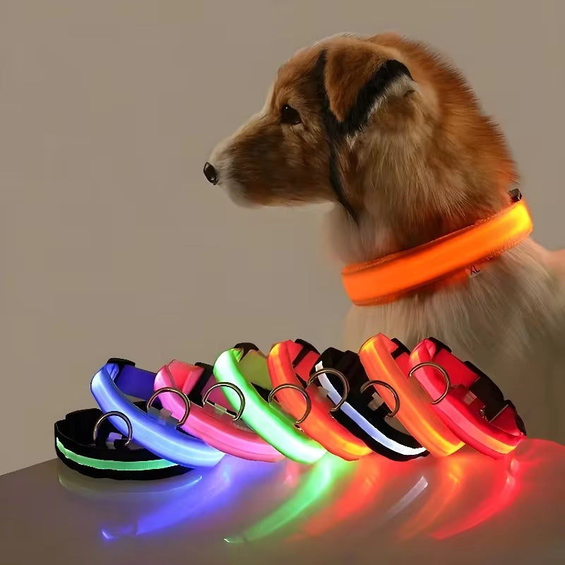 🌟 LED Luminous Dog Collar – Glow in the Dark for Nighttime Safety! 🐾✨