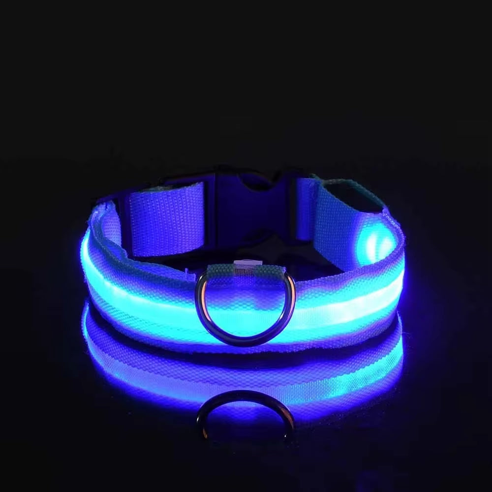 🌟 LED Luminous Dog Collar – Glow in the Dark for Nighttime Safety! 🐾✨