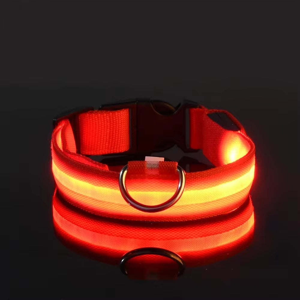 🌟 LED Luminous Dog Collar – Glow in the Dark for Nighttime Safety! 🐾✨