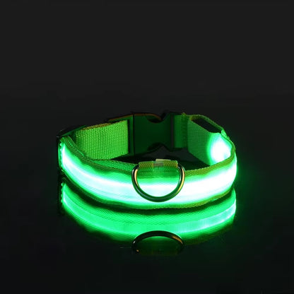 🌟 LED Luminous Dog Collar – Glow in the Dark for Nighttime Safety! 🐾✨