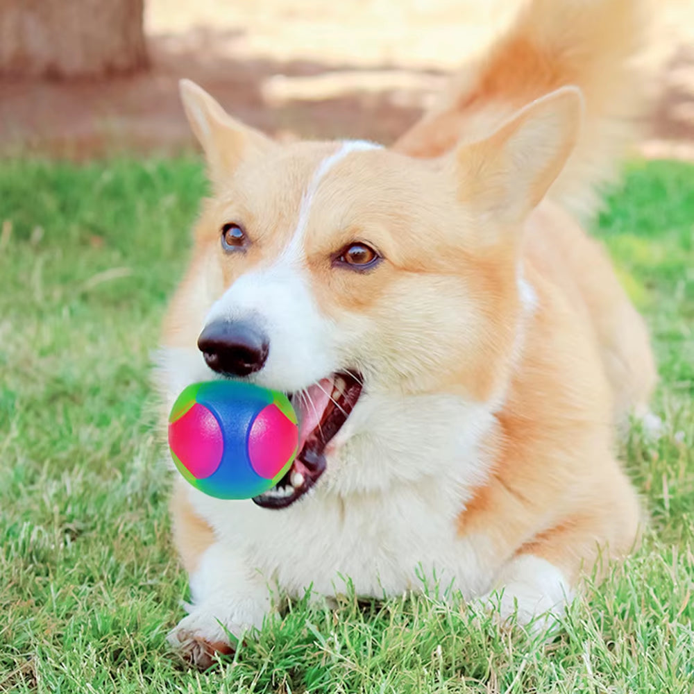 GlowPup Bouncy Ball – Light-Up Fun for Playful Pups! 🐶✨