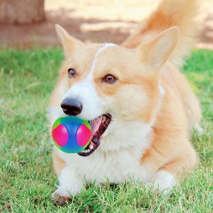 GlowPup Bouncy Ball – Light-Up Fun for Playful Pups! 🐶✨