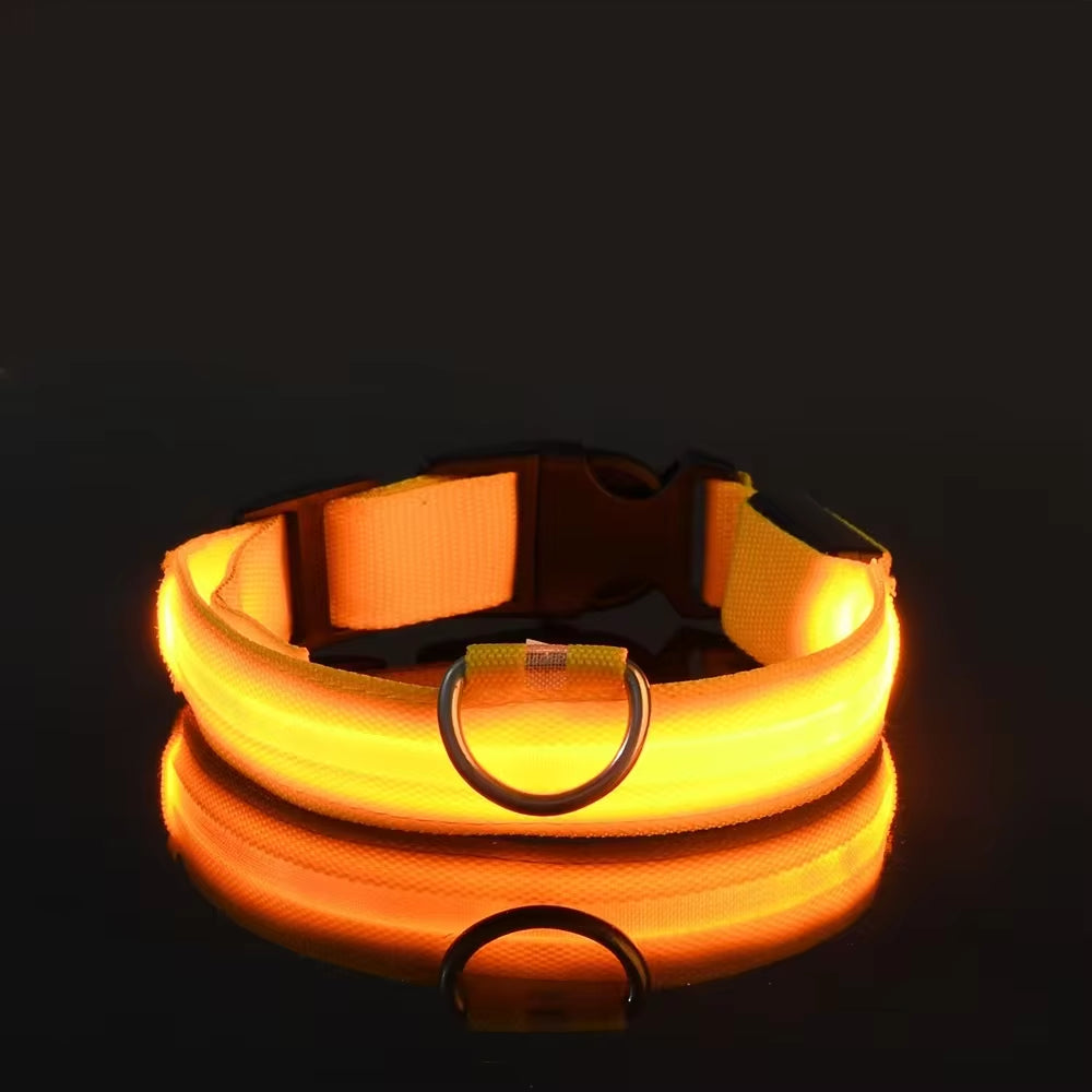 🌟 LED Luminous Dog Collar – Glow in the Dark for Nighttime Safety! 🐾✨