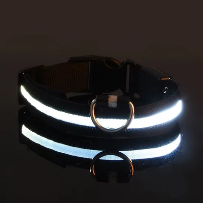 🌟 LED Luminous Dog Collar – Glow in the Dark for Nighttime Safety! 🐾✨