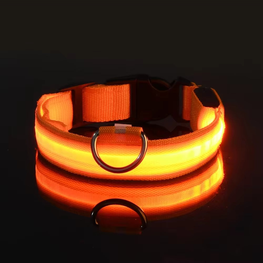 🌟 LED Luminous Dog Collar – Glow in the Dark for Nighttime Safety! 🐾✨